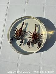 MaxSold Auction: Resin Paperweight Disc with Two Scorpions, 8 in (20 cm) -ebn - Maple Ridge (British Columbia, Canada) PARTNER MANAGED Estate Sale Online Auction - 203 Street