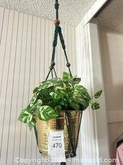 MaxSold Auction: Clothing + House Decor + More  - San Jose (California, USA) SELLER MANAGED Estate Sale Online Auction - Halkins Drive