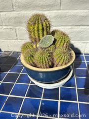 MaxSold Auction: Garden Pots and Decor B - San Jose (California, USA) SELLER MANAGED Estate Sale Online Auction - Halkins Drive