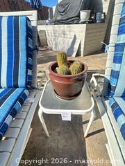 MaxSold Auction: Lot of Patio Chairs + Succulent Pot  - San Jose (California, USA) SELLER MANAGED Estate Sale Online Auction - Halkins Drive