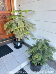 MaxSold Auction: Pair of Black Garden Pots  - San Jose (California, USA) SELLER MANAGED Estate Sale Online Auction - Halkins Drive