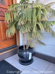 MaxSold Auction: Pair of Black Garden Pots  - San Jose (California, USA) SELLER MANAGED Estate Sale Online Auction - Halkins Drive