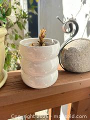 MaxSold Auction: Small Lot of Garden Pots / Decor  - San Jose (California, USA) SELLER MANAGED Estate Sale Online Auction - Halkins Drive