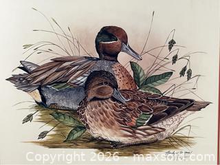 MaxSold Auction: Limited Edition Print of Green-Winged Teal Ducks by Marilyn Zarzana Dixon - Campbell (California, USA) PARTNER MANAGED Estate Sale Online Auction - Dell Avenue