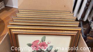 MaxSold Auction: Framed Botanical Flower Prints B - Toronto (Ontario, Canada) Downsizing Online Auction - Blantyre Avenue