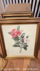 MaxSold Auction: Framed Botanical Flower Prints B - Toronto (Ontario, Canada) Downsizing Online Auction - Blantyre Avenue