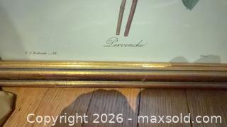 MaxSold Auction: Framed Botanical Flower Prints B - Toronto (Ontario, Canada) Downsizing Online Auction - Blantyre Avenue