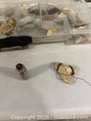 MaxSold Auction: Large Lot of Seashells, Stones & Decorative Minerals  - Vancouver (British Columbia, Canada) SELLER MANAGED Reseller Online Auction - East 7th Avenue (STORAGE)