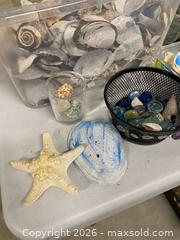 MaxSold Auction: Large Lot of Seashells, Stones & Decorative Minerals  - Vancouver (British Columbia, Canada) SELLER MANAGED Reseller Online Auction - East 7th Avenue (STORAGE)