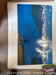 MaxSold Auction: Robert Bateman 'Tiger in Snow' Art Print - New Westminster (British Columbia, Canada) PARTNER MANAGED Downsizing Online Auction -  Jamieson Court (CONDO)