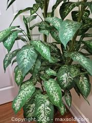 MaxSold Auction: Large Artificial Plant - Pickering (Ontario, Canada) SELLER MANAGED Reseller Online Auction - Old Brock Road