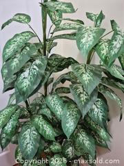 MaxSold Auction: Large Artificial Plant - Pickering (Ontario, Canada) SELLER MANAGED Reseller Online Auction - Old Brock Road