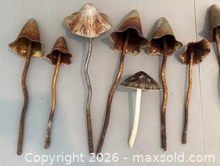 MaxSold Auction: Vintage The Potting Shed Metal Mushrooms Garden Decor. Huge Lot!  - Mountain View (California, USA) SELLER MANAGED Estate Sale Online Auction - Clark Avenue