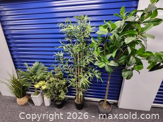 MaxSold Auction: 6 houseplants (fake) - Hanover Township (Pennsylvania, USA) PARTNER MANAGED Downsizing Online Auction - Airport Road (STORAGE)              