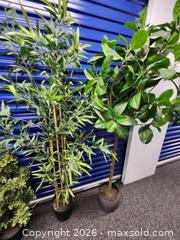 MaxSold Auction: 6 houseplants (fake) - Hanover Township (Pennsylvania, USA) PARTNER MANAGED Downsizing Online Auction - Airport Road (STORAGE)              
