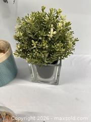 MaxSold Auction: Faux plants (7), Candle stand, 3 ocean/shell artwork - Hanover Township (Pennsylvania, USA) PARTNER MANAGED Downsizing Online Auction - Airport Road (STORAGE)              