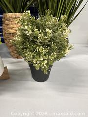 MaxSold Auction: Faux plants in pots - Hanover Township (Pennsylvania, USA) PARTNER MANAGED Downsizing Online Auction - Airport Road (STORAGE)              