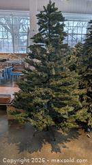MaxSold Auction: Balsam Hills Christmas Tree  - Mississauga (Ontario, Canada) SELLER MANAGED Charity/Fundraising Online Auction - Lakeshore Road East