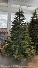 MaxSold Auction: Balsam Hills Christmas Tree  - Mississauga (Ontario, Canada) SELLER MANAGED Charity/Fundraising Online Auction - Lakeshore Road East
