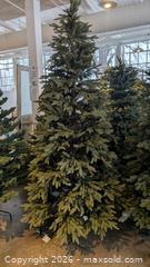 MaxSold Auction: Balsam Hills Christmas Tree  - Mississauga (Ontario, Canada) SELLER MANAGED Charity/Fundraising Online Auction - Lakeshore Road East