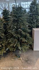 MaxSold Auction: Balsam Hills Christmas Tree  - Mississauga (Ontario, Canada) SELLER MANAGED Charity/Fundraising Online Auction - Lakeshore Road East