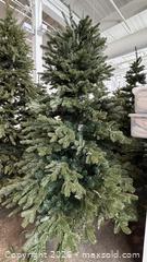 MaxSold Auction: Balsam Hills Christmas Tree  - Mississauga (Ontario, Canada) SELLER MANAGED Charity/Fundraising Online Auction - Lakeshore Road East