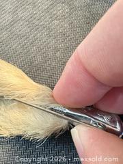 MaxSold Auction: Vtg. Rabbit Foot Brooch with Crystal Accent Beige Fur Silver-Tone  - Maple Ridge (British Columbia, Canada) PARTNER MANAGED Estate Sale Online Auction - Blanshard Street