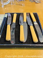 MaxSold Auction: Vtg. Set of 6 Butter/Fruit Spreaders with Yellow Bakelite Handles in original case - Maple Ridge (British Columbia, Canada) PARTNER MANAGED Estate Sale Online Auction - Blanshard Street