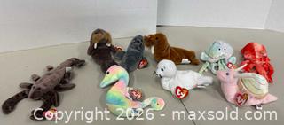 MaxSold Auction: Ty Beanie Babies Sea Creature Lot of 9, 1990s - Lakeshore (Ontario, Canada) PARTNER MANAGED Downsizing Online Auction - County Road 42