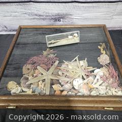 MaxSold Auction: Coastal Framed Shadow Box with Seashells and Starfish - Hatboro (Pennsylvania, USA) PARTNER MANAGED Estate Sale Online Auction - Jacksonville Road