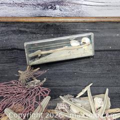 MaxSold Auction: Coastal Framed Shadow Box with Seashells and Starfish - Hatboro (Pennsylvania, USA) PARTNER MANAGED Estate Sale Online Auction - Jacksonville Road