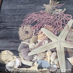 MaxSold Auction: Coastal Framed Shadow Box with Seashells and Starfish - Hatboro (Pennsylvania, USA) PARTNER MANAGED Estate Sale Online Auction - Jacksonville Road