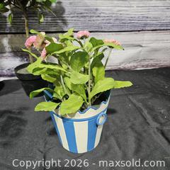 MaxSold Auction: Lot of 6+ Artificial Potted Topiary Trees, Medium - Hatboro (Pennsylvania, USA) PARTNER MANAGED Estate Sale Online Auction - Jacksonville Road