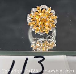 MaxSold Auction: Sterling silver gemstone ring - Hatboro (Pennsylvania, USA) PARTNER MANAGED Estate Sale Online Auction - Jacksonville Road