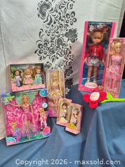MaxSold Auction: T78 Lot of 5+ Fashion & Mini Dolls: Barbie, Corolle, Kelly, Disney - Toronto (Ontario, Canada) SELLER MANAGED Downsizing Online Auction -  The Kingsway