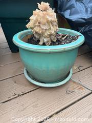 MaxSold Auction: Planters - Baltimore (Maryland, USA) PARTNER MANAGED Estate Sale Online Auction - Ken Oak Road