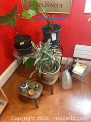MaxSold Auction: Potted Houseplants with Stands, Decorative Pots & Watering Jug - Baltimore (Maryland, USA) PARTNER MANAGED Estate Sale Online Auction - Ken Oak Road