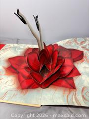 MaxSold Auction: Christian Louboutin by Christian Louboutin 2011 Hardcover Book  - Newmarket (Ontario, Canada) SELLER MANAGED Reseller Online Auction - Lundys Lane