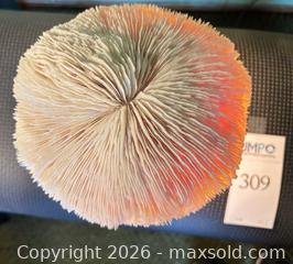 MaxSold Auction: Shell Lamp - Fremont (California, USA) PARTNER MANAGED Estate Sale Online Auction - Las Palmas Avenue