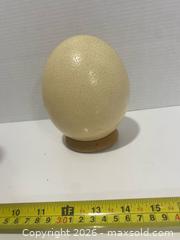 MaxSold Auction: Hand-Painted Ostrich Egg — Cheetah Design by M. Wilson - Wilmot (Ontario, Canada) PARTNER MANAGED Estate Sale Online Auction - Summit Crescent