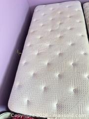 MaxSold Auction: Pair of Twin Innerspring Mattresses with Box Springs - Orange (Texas, USA) SELLER MANAGED Estate Sale Online Auction - Camelot Street