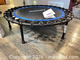 MaxSold Auction: Professional Fitness Trampoline - Greater Napanee (Ontario, Canada) PARTNER MANAGED Moving Online Auction - Newburgh Road