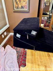 MaxSold Auction: Liberator Intimacy  Pillows - San Jose (California, USA) SELLER MANAGED Moving Online Auction - Paladin Drive