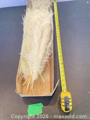 MaxSold Auction: Decorative Vintage Cream Feather Plumes, 24–28 in (Lot of 28) - Toronto (Ontario, Canada) PARTNER MANAGED Estate Sale Online Auction -Bridle Path Estate