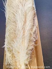 MaxSold Auction: Decorative Vintage Cream Feather Plumes, 24–28 in (Lot of 28) - Toronto (Ontario, Canada) PARTNER MANAGED Estate Sale Online Auction -Bridle Path Estate