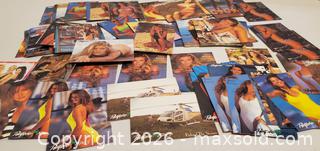 MaxSold Auction: PORTFOLIO 1993 ADULT SWIMSUIT COLLECTOR CARDS  - Rockaway (New Jersey, USA) SELLER MANAGED Downsizing Online Auction - Miami Trail