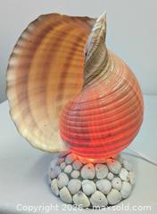 MaxSold Auction: Vintage Atmospheric Sea-Shell Table Accent Lamp Working - Toronto (Ontario, Canada) PARTNER MANAGED Reseller Online Auction - Railside Road