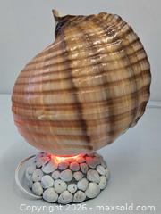 MaxSold Auction: Vintage Atmospheric Sea-Shell Table Accent Lamp Working - Toronto (Ontario, Canada) PARTNER MANAGED Reseller Online Auction - Railside Road