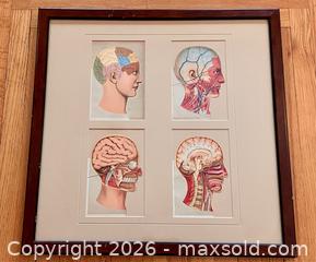 MaxSold Auction: Framed Antique Flap-book Head - Douglas (Massachusetts, USA) PARTNER MANAGED Estate Sale Online Auction - Southwest Main Street