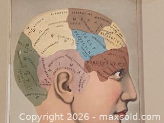 MaxSold Auction: Framed Antique Flap-book Head - Douglas (Massachusetts, USA) PARTNER MANAGED Estate Sale Online Auction - Southwest Main Street